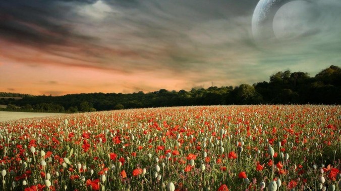 为什么成功人士的精力都非常旺盛？